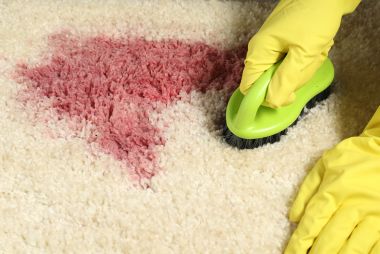 eco london carpet cleaning stain removal services london